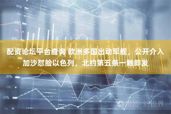 配资论坛平台查询 欧洲多国出动军舰，公开介入加沙怼脸以色列，北约第五条一触即发